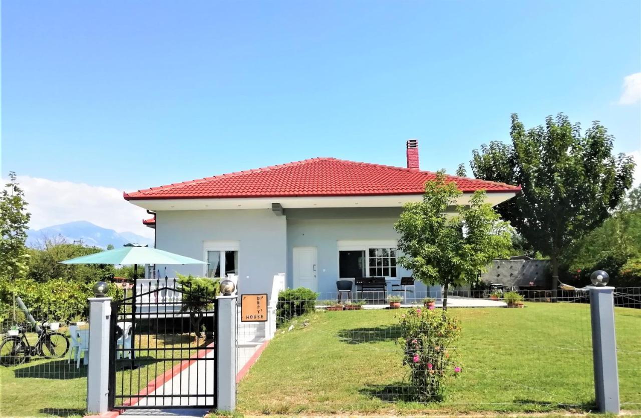 Appartamento Deppy'S House Κοντά Στα Λουτρά Πόζαρ Chrysi Esterno foto