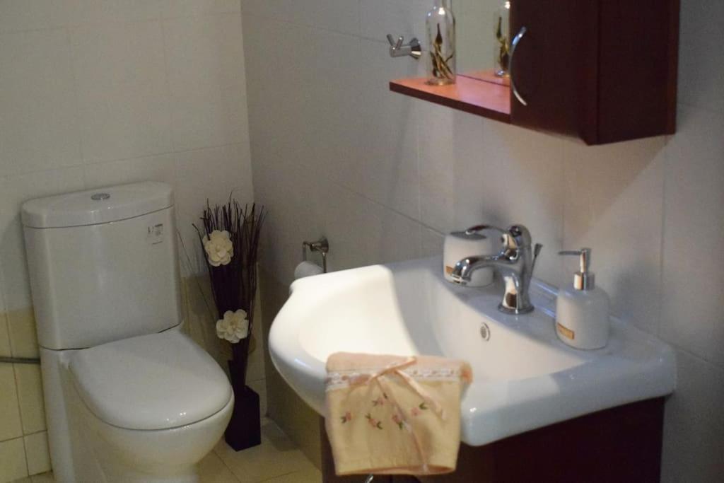 Appartamento Deppy'S House Κοντά Στα Λουτρά Πόζαρ Chrysi Esterno foto