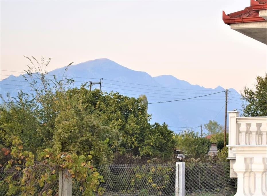 Appartamento Deppy'S House Κοντά Στα Λουτρά Πόζαρ Chrysi Esterno foto