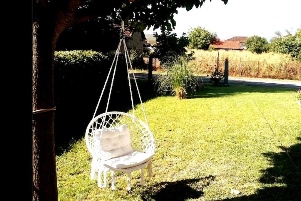Appartamento Deppy'S House Κοντά Στα Λουτρά Πόζαρ Chrysi Esterno foto