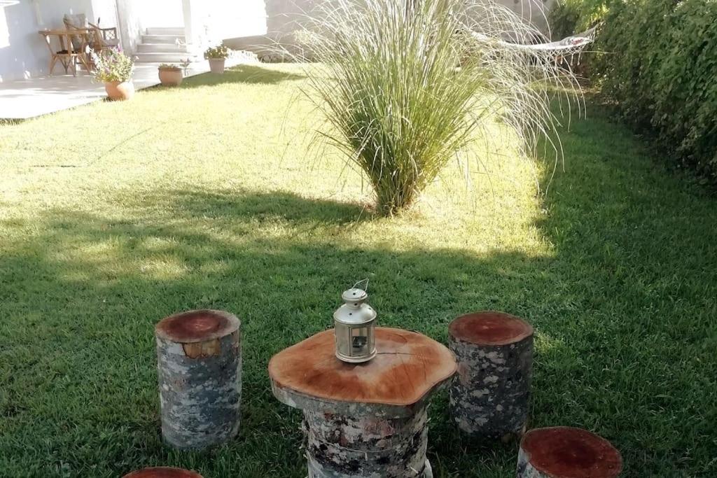 Appartamento Deppy'S House Κοντά Στα Λουτρά Πόζαρ Chrysi Esterno foto