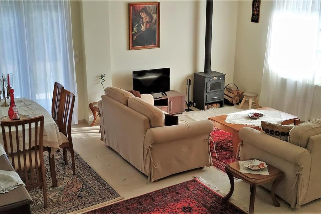 Appartamento Deppy'S House Κοντά Στα Λουτρά Πόζαρ Chrysi Esterno foto