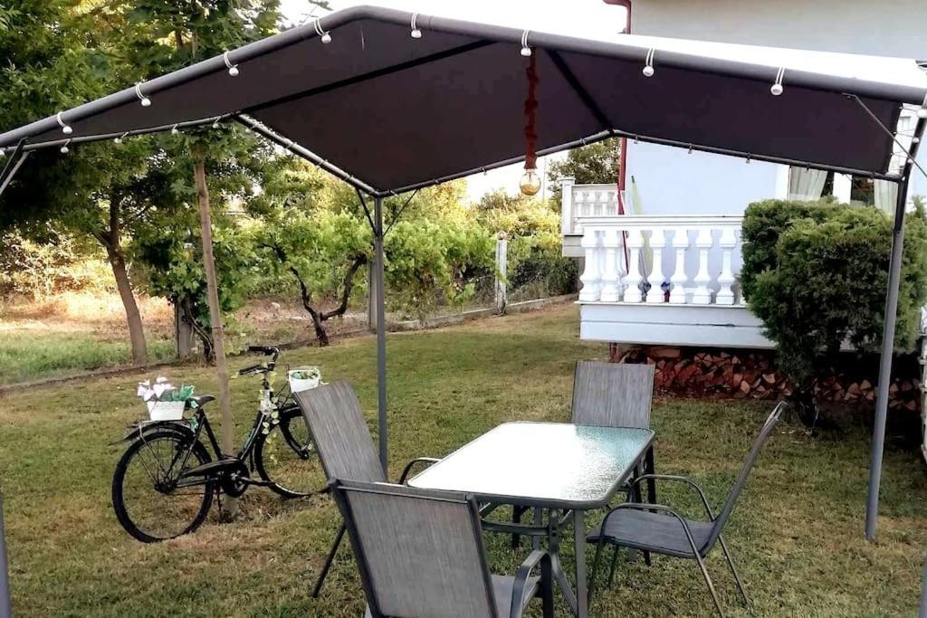 Appartamento Deppy'S House Κοντά Στα Λουτρά Πόζαρ Chrysi Esterno foto